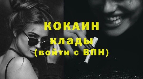 крисы Абаза