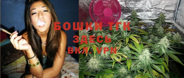 крисы Абаза
