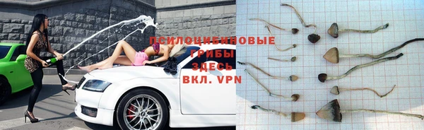 дмт Абдулино